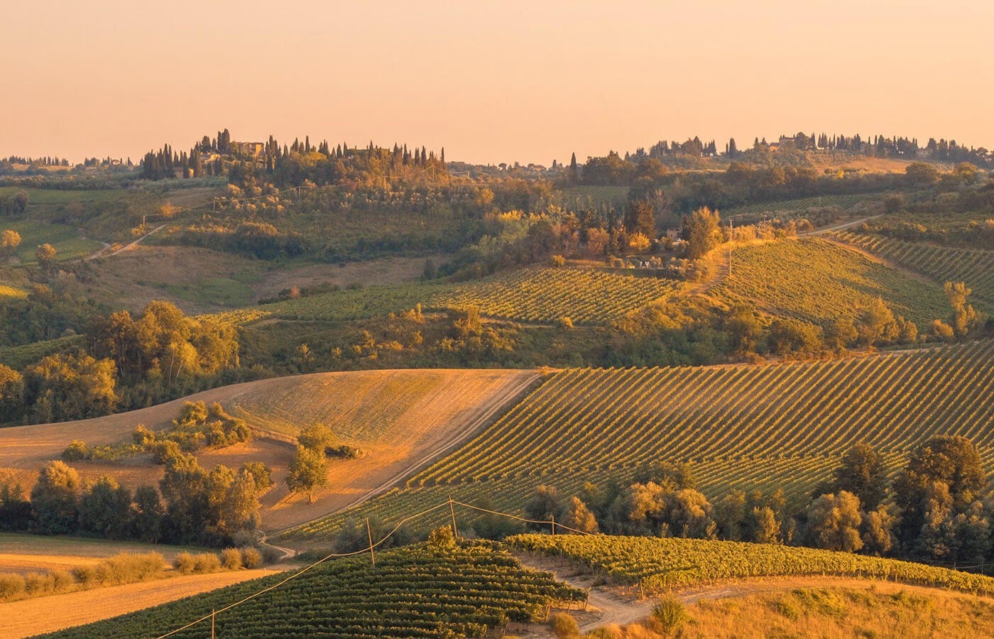 Located In the Heart of Wine Country